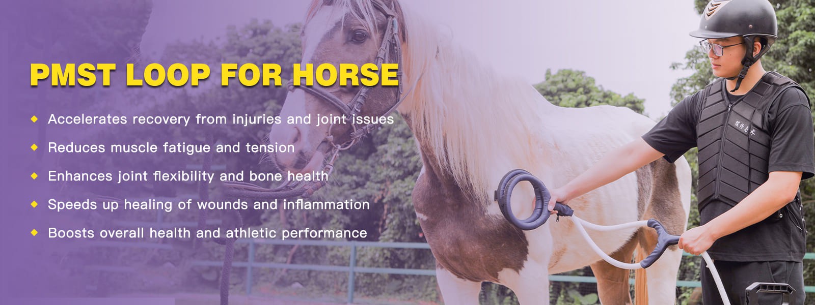 PEMF treatment equipment for horses